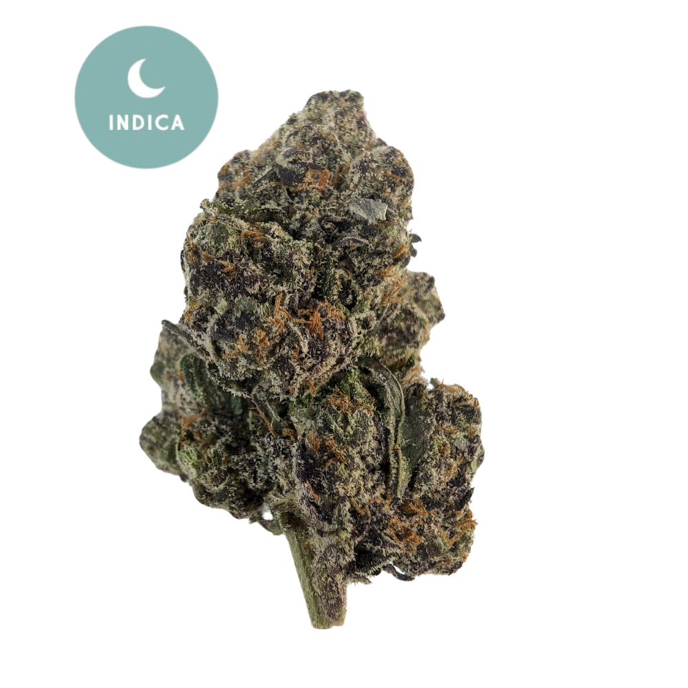 Blueberry Skunk THCa - Deep Relaxation with a Power-Packed Punch