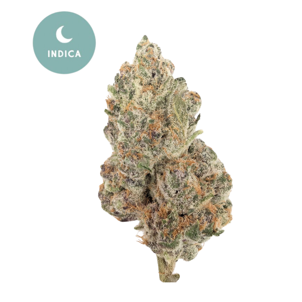 Orange Push Pop - Premium Indoor Indica