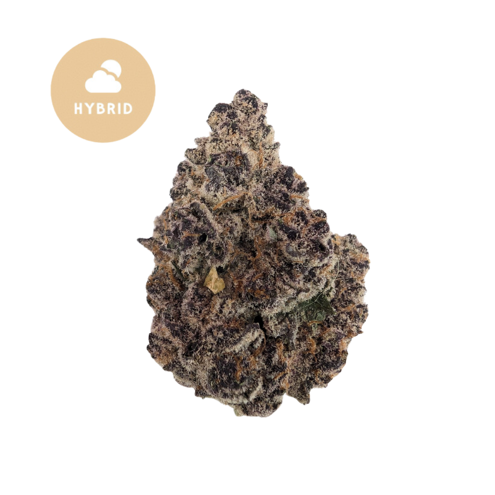 Black Cherry Gelato THCa - Premium Craft Flower for Elevated Relaxation