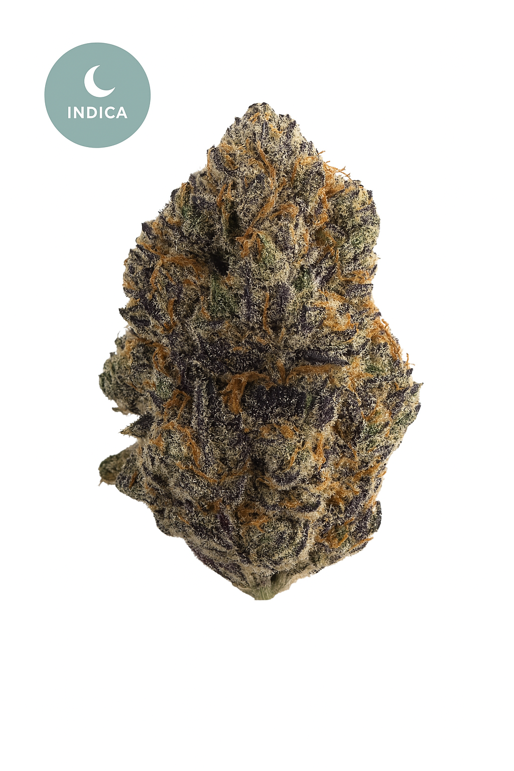 Black Truffle THCa - A Luxurious Indica Experience