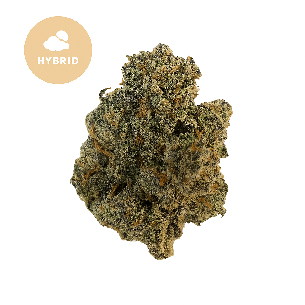 Sherbacio THCA - Premium Hybrid Strain for Elevated Balance & Bliss