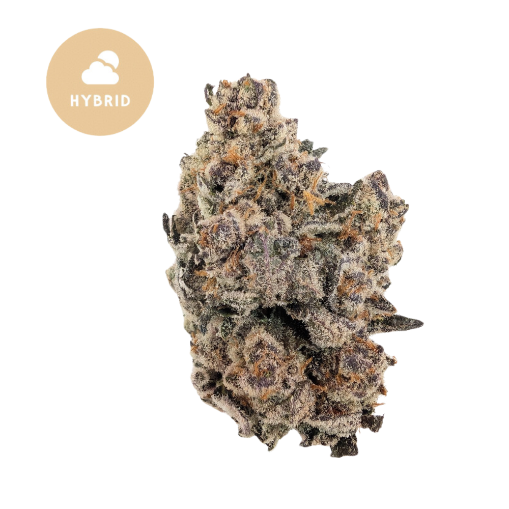 Gary Runtz THCa - Exceptional Hybrid Strain for Powerful Effects