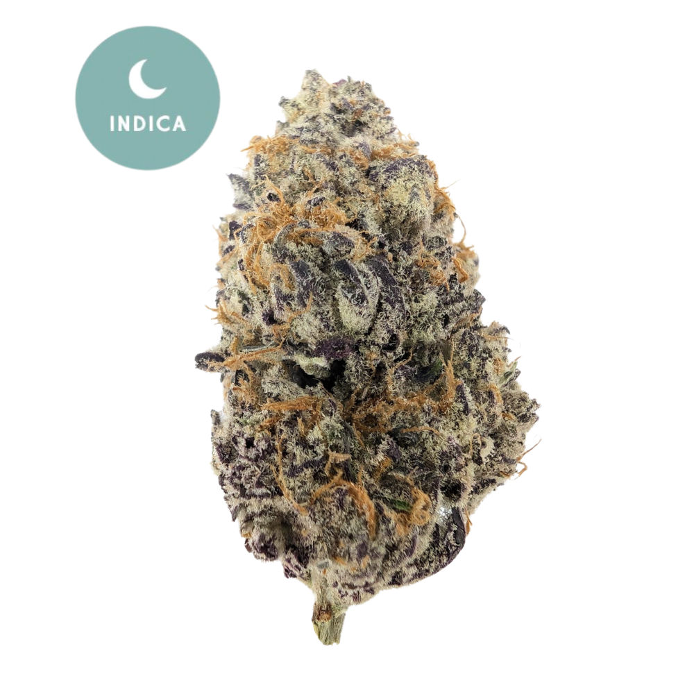 Granddaddy Purple THCa - A Legendary Indica Experience