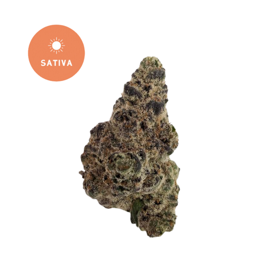 Hawaiian Snowcone THCA Flower - Island Ice Sativa