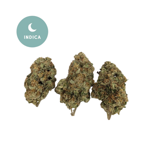 Interstella THCA Flower - Gold For Less Indica