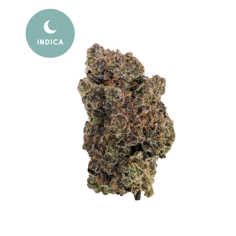 Larry OG THCa - Indoor Indica | Purple Buds & Chill