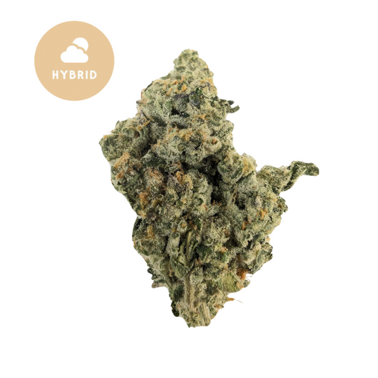 Orange Creamsicle THCA: A Hybrid Strain Delight