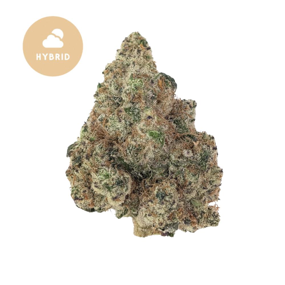 Gas Face THCa: Premium THCa with Exceptional Flavor and Potency