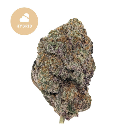 Mochi  - A Premium Hybrid Experience