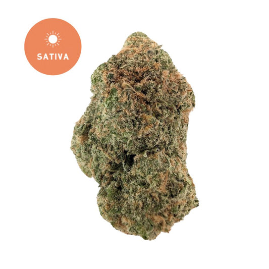 Blue Dream THCA: The Quintessential Sativa-Dominant Hybrid