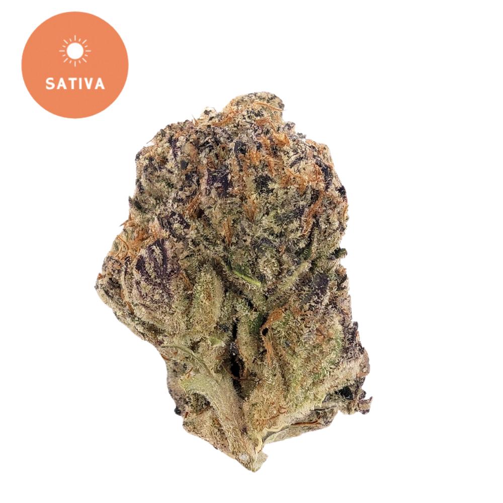 Super Jack THCa - Bold, Uplifting Energy in Every Bud