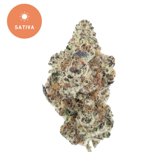 Frozen Dream THCa - Energizing Sativa