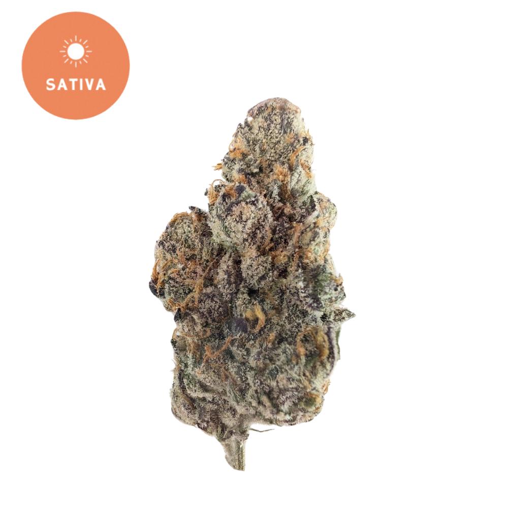 Chimera THCA - Premium Sativa-Dominant Hybrid | Bold Flavor & Balanced Effects