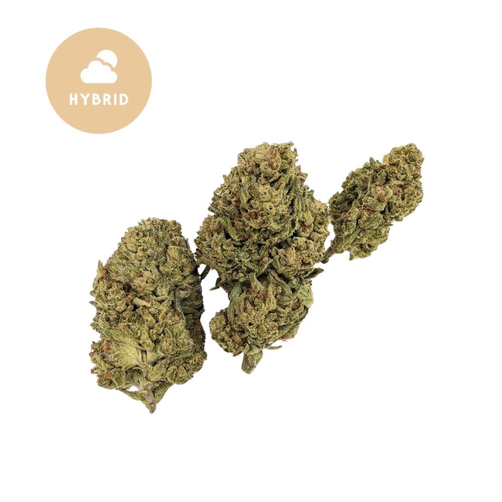 Purple Horchata THCA - Gold for Less Collection