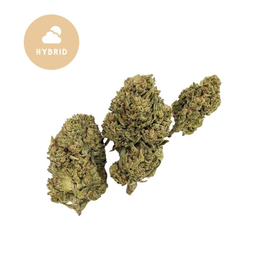 Purple Horchata THCA - Gold for Less Collection