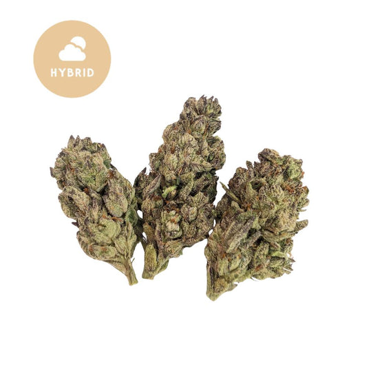 Banana Punch THCa Flower -Gold For Less Collection