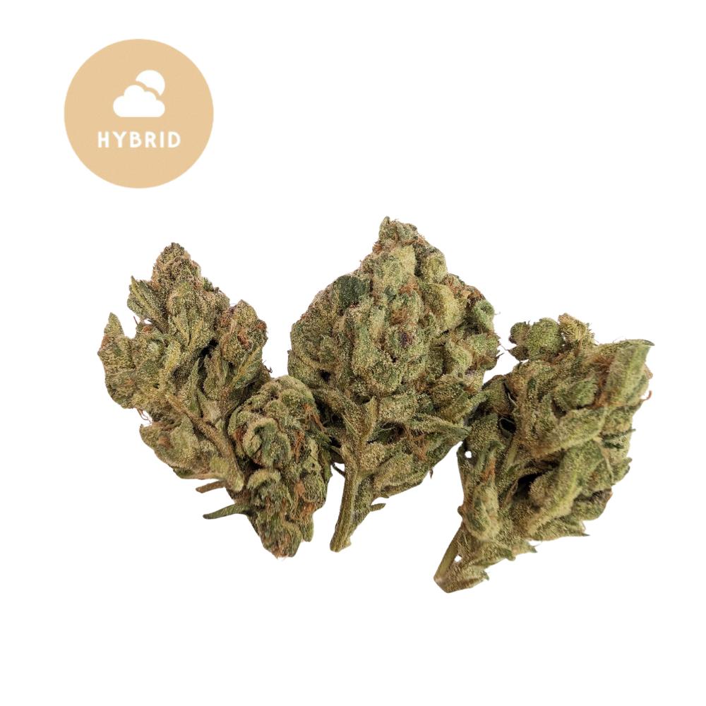 Super Boof THCa Flower – Gold For Less Collection