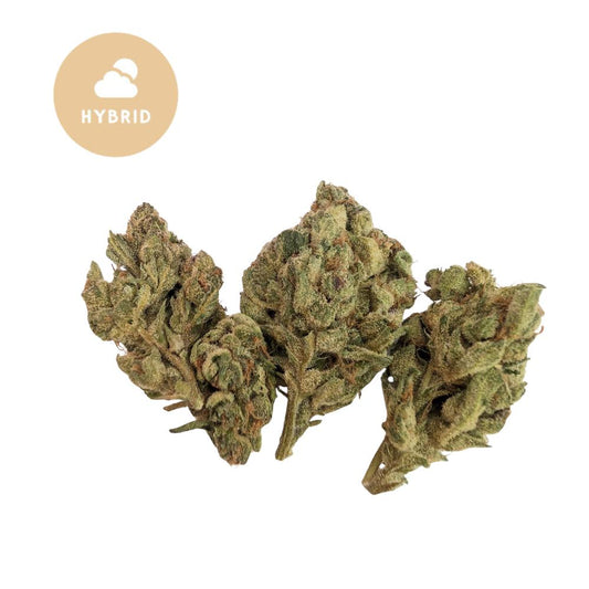 Super Boof THCa Flower – Gold For Less Collection