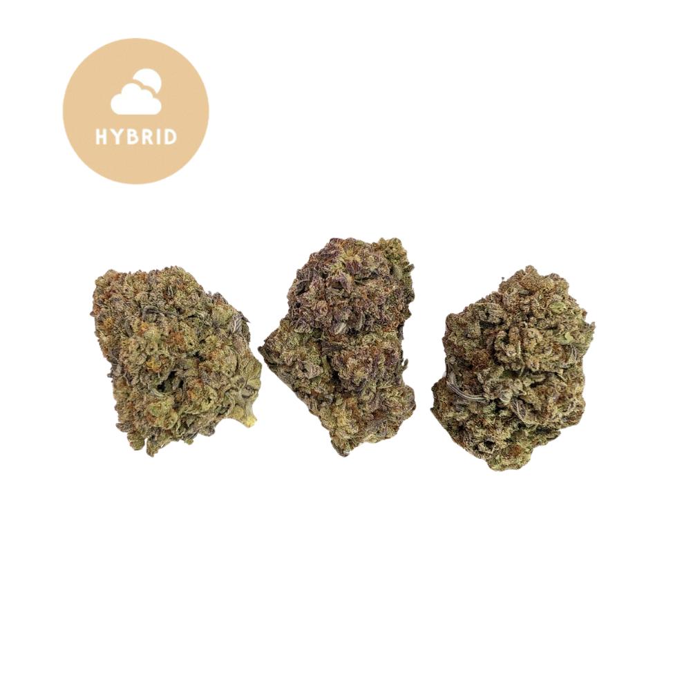 Cookies and Cream THCa Flower - Gold For Less Collection