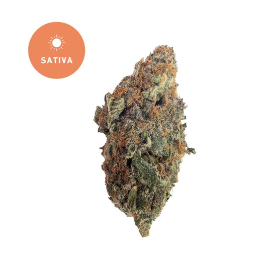 Trop Cherry THCa Flower – Exotic Sativa with Tropical Cherry Burst