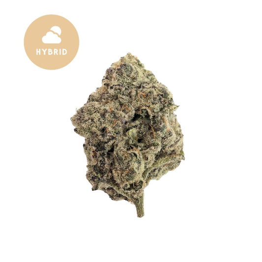 Gary Payton THCa Flower – Potent Hybrid Powerhouse with Legendary Flavor