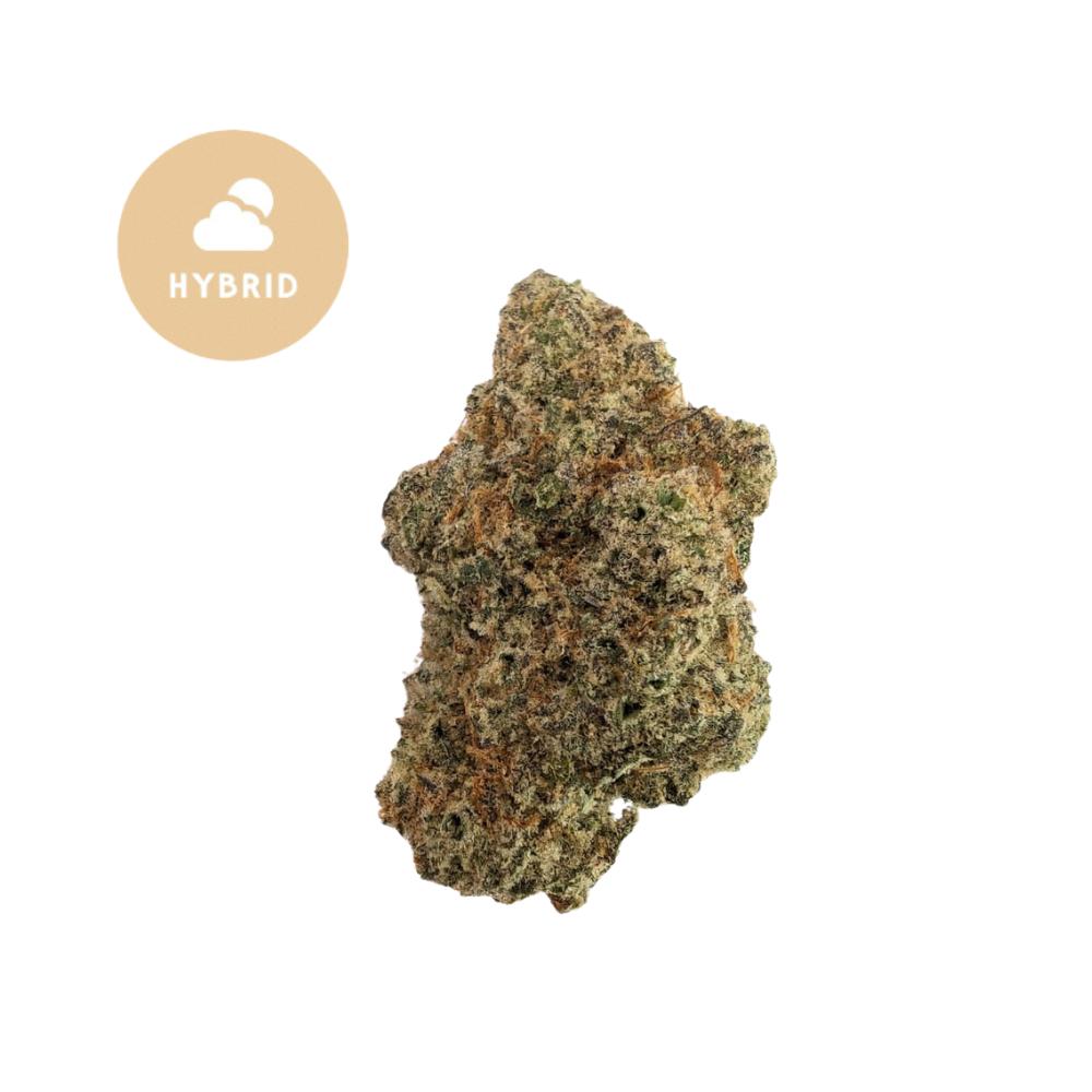 Lunch Money THCa Flower– Premium Exotic Hybrid Flower