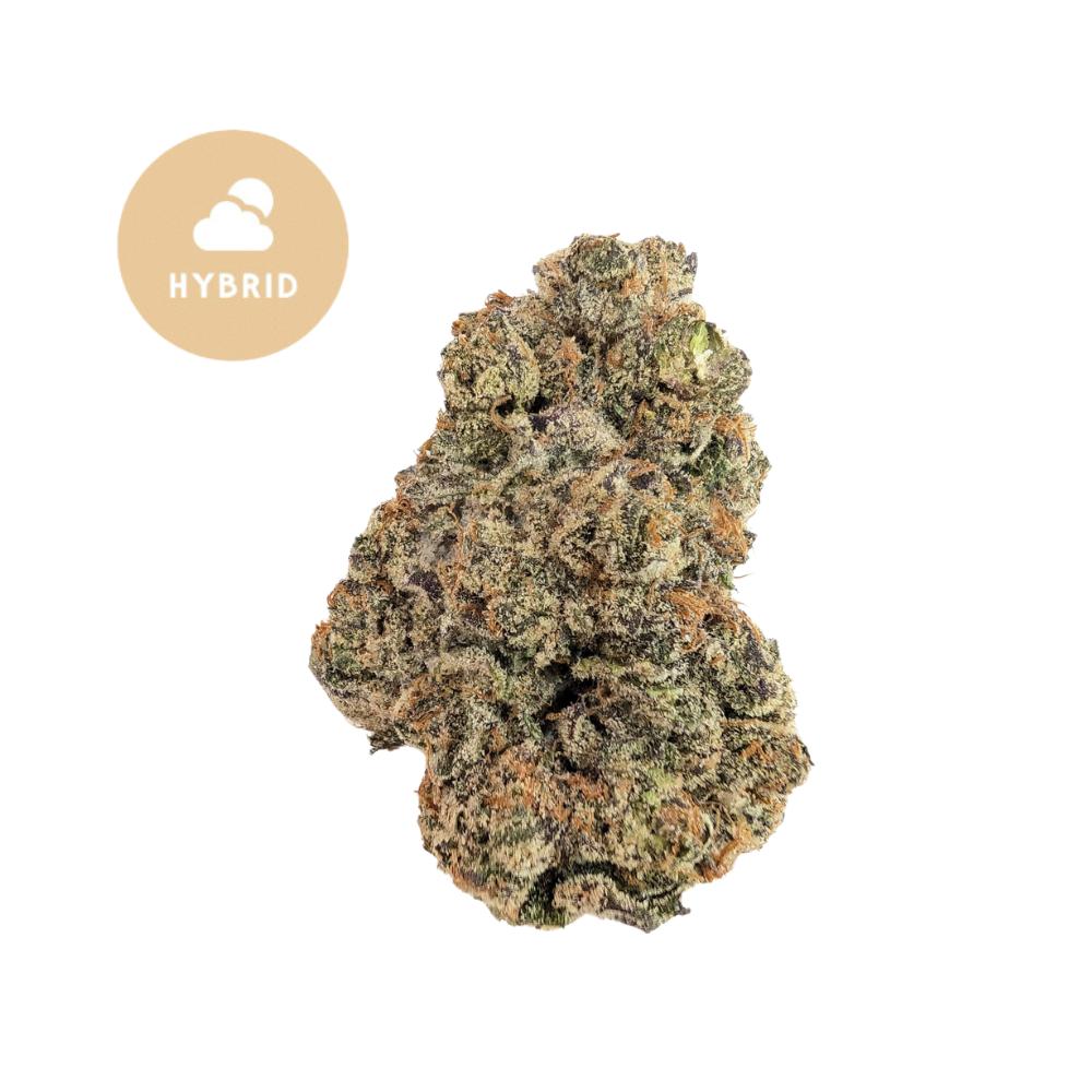 Blue Guava THCa Flower – Exotic Hybrid Perfection