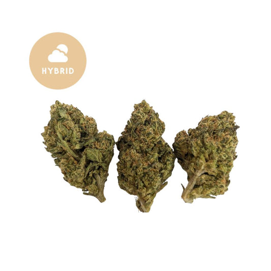 SFV OG THCa – Hybrid Light Assist | Gold For Less