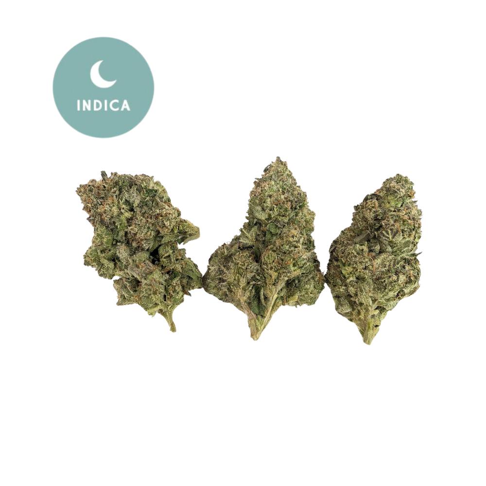 RudeBoi OG THCa – Indica Light Assist with Exotic Appeal | Gold For Less