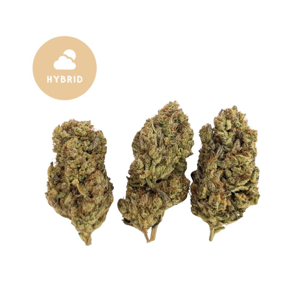 Apple Fritter THCa Flower – Hybrid Light Assist | Gold For Less