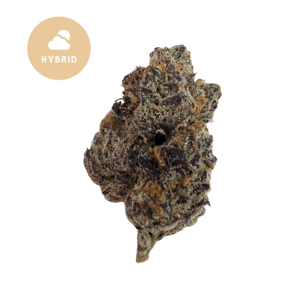 Gushers THCA Flower - Tropical Explosion Hybrid