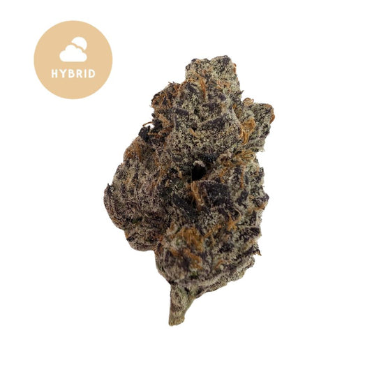 Gushers THCA Flower - Tropical Explosion Hybrid