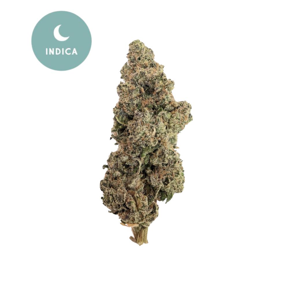 Mule Fuel THCA - A Potent Indica-Dominant Hybrid