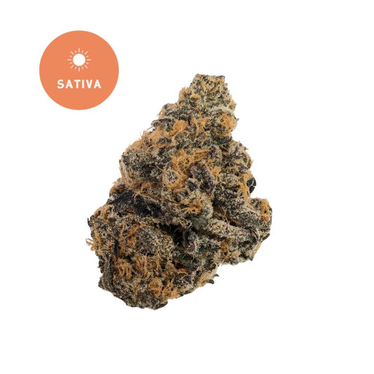 Caribbean Breeze THCA Flower - Tropical Paradise Sativa