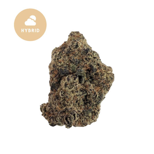 Lizard Burger THCA Flower - Wild Safari Hybrid