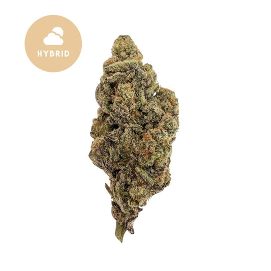 Garlic Glaze THCA Flower - Everyday Hybrid