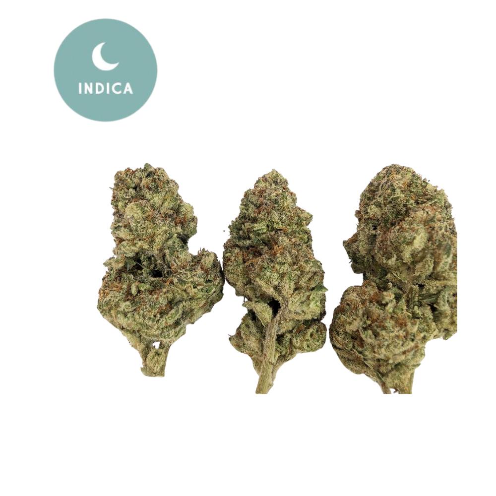 Mule Fuel THCA Flower - Gold For Less Indica