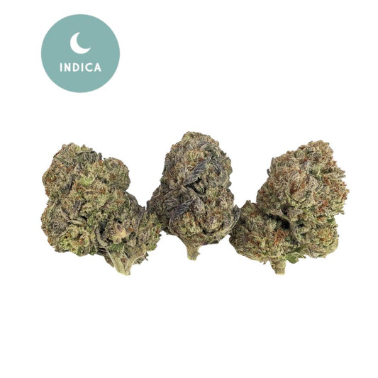 White Truffle THCA Flower - Gold For Less Indica