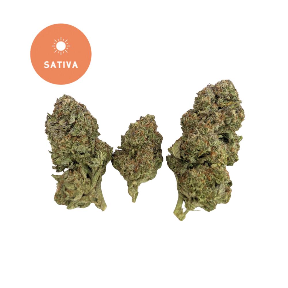 Blue Dream Pie THCA Flower - Gold For Less Sativa