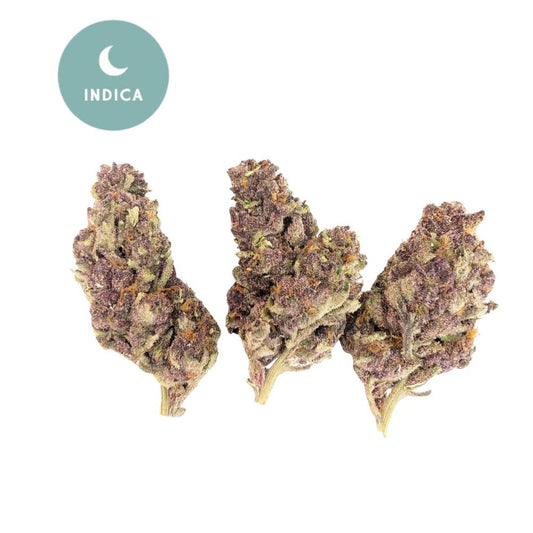 Gorilla Skunk THCa – Gold For Less Collection