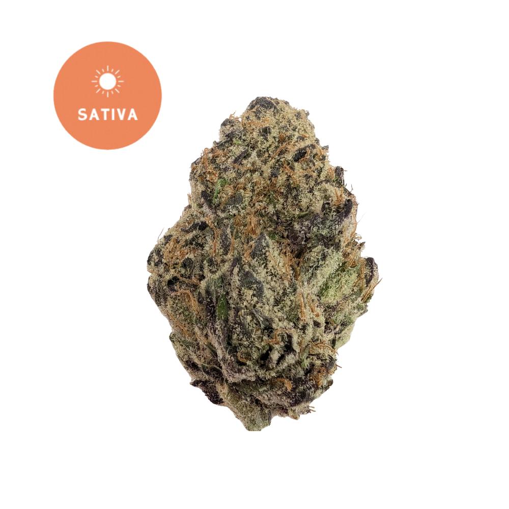 Triple Blue Haze THCA Flower - Azure Storm Sativa