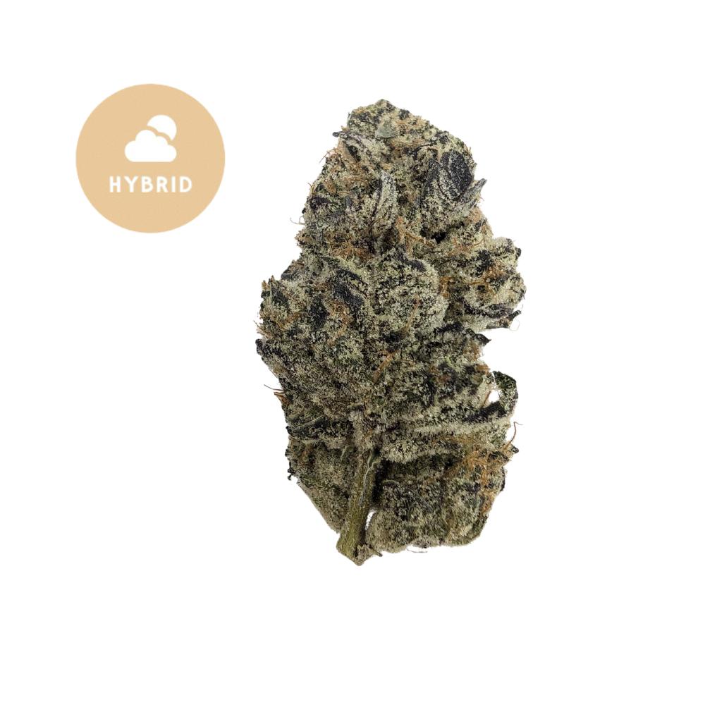 High Octane THCA Flower - Turbo Charged Hybrid