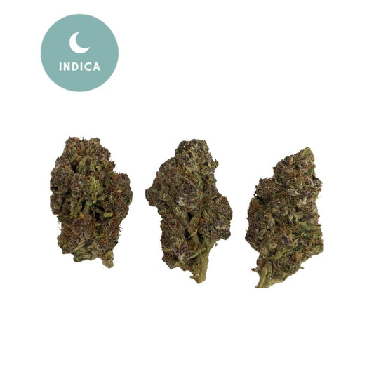 GMO Grape THCA Flower - Gold For Less Indica