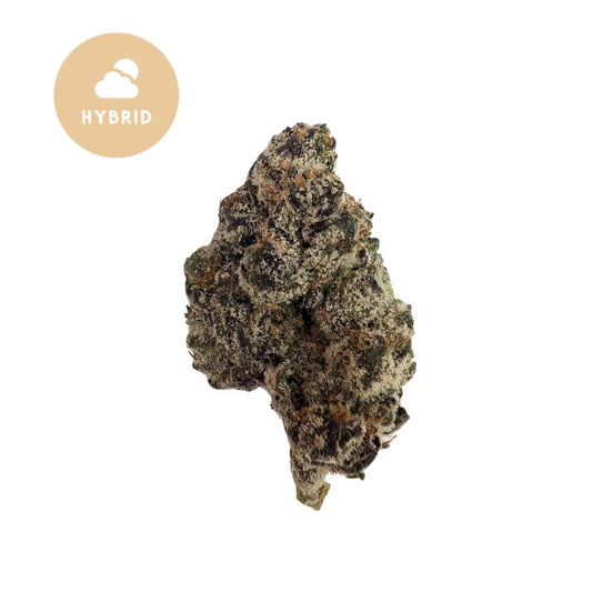 Bolo Runtz THCA Flower - Champion's Choice Hybrid