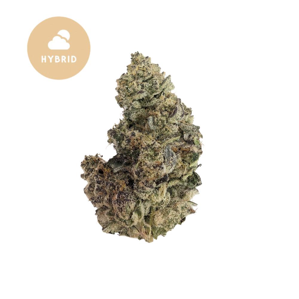 Gelato 41 THCA Flower - Designer Dessert Hybrid