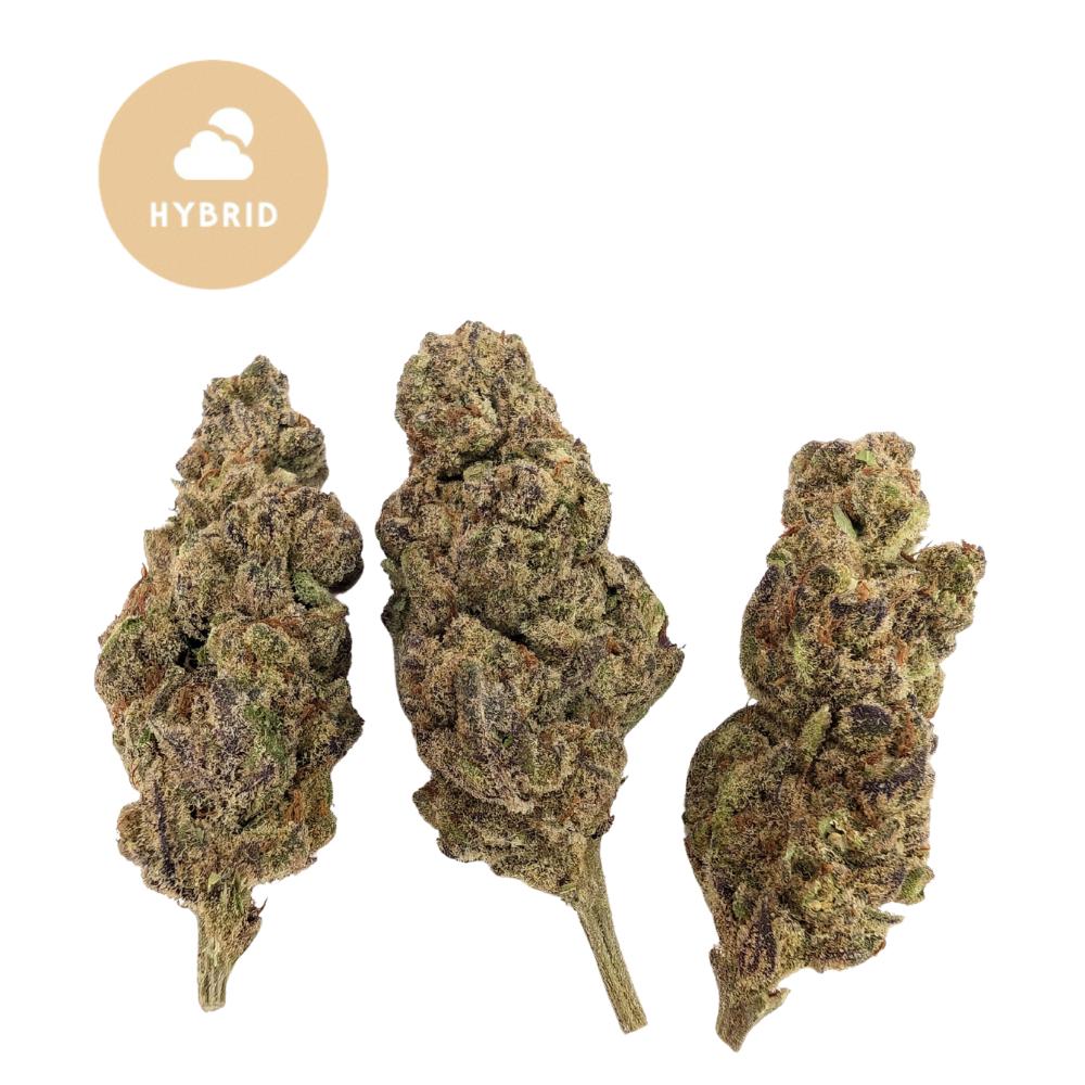 Guava Tartz THCA Flower - Gold For Less Hybrid