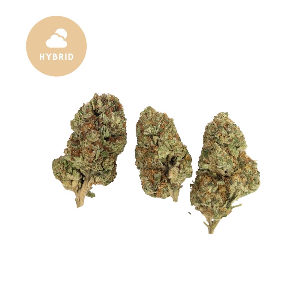 Gelato THCA Flower - Gold For Less Hybrid