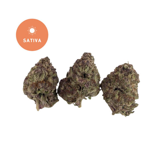 Trop Cherry THCA Flower - Gold For Less Sativa