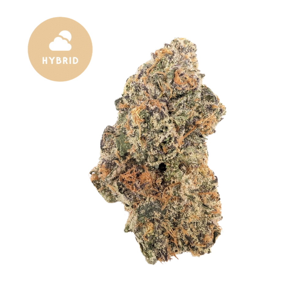 White Zorbert THCa - Frosted Finish & Euphoric Vibes