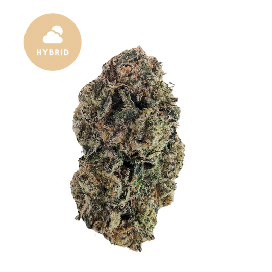 Jealousy THCa: A Premium Hybrid